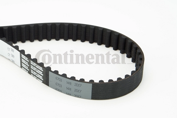 Timing Belt